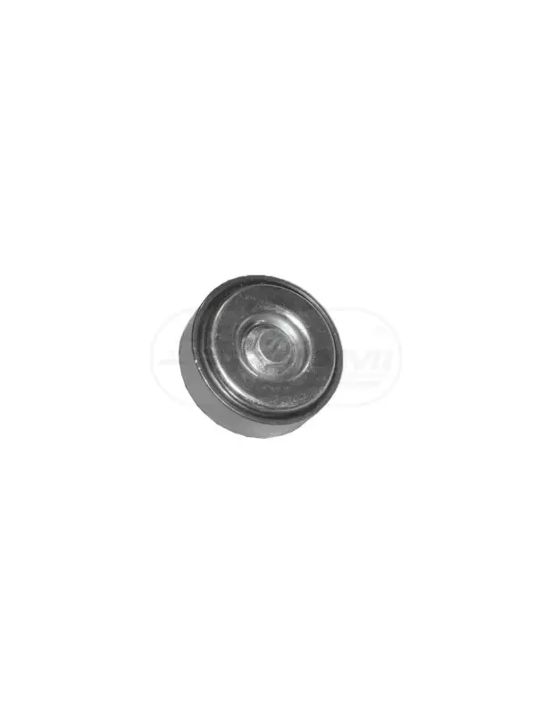 Kup teraz Napinacz paska CNH 87803152, 4899401, 2855409 Case Ih