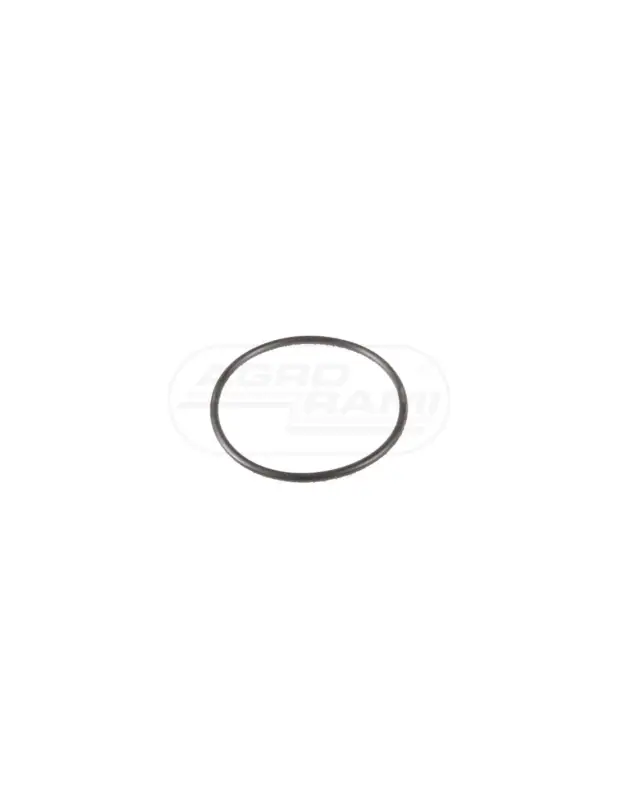 Tani Oring B17533 123/9960099 04343359 Deutz-fahr Fiat